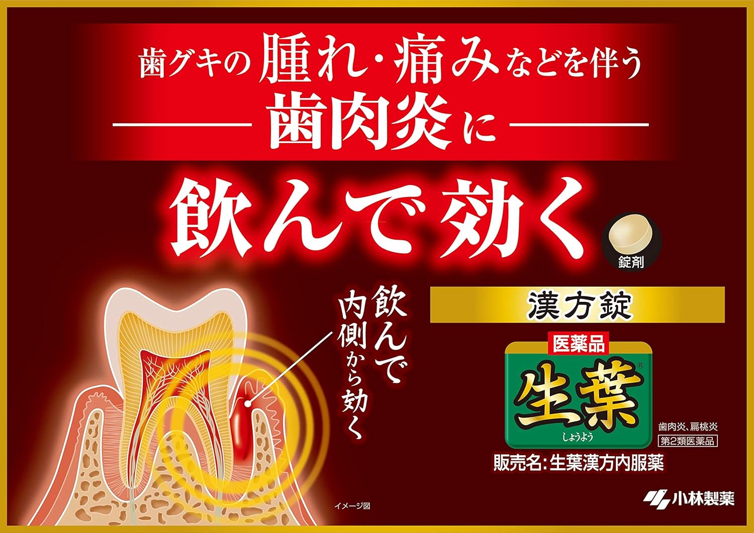 生葉漢方内服錠