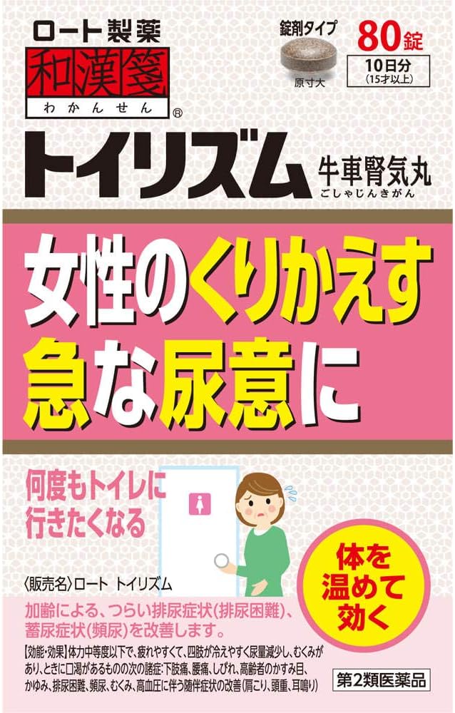 和漢箋 トイリズム