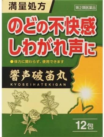 響声破笛丸